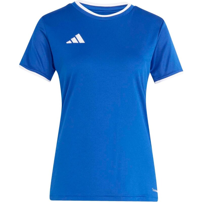 ADIDAS PERFORMANCE Funkčné tričko ENT26 modrá / biela 67415156
