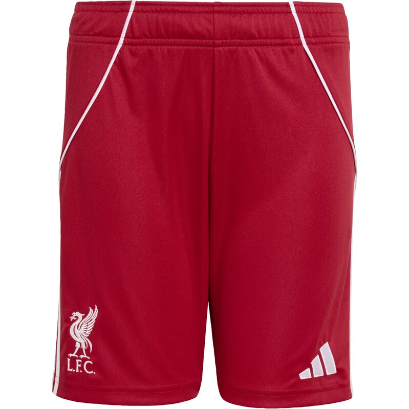 ADIDAS PERFORMANCE Športové nohavice FC Liverpool FC 25/26 červená / 67436227