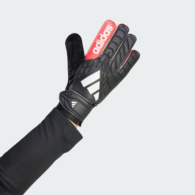 E-shop Adidas BRANKÁRSKE RUKAVICE COPA GOALKEEPER CLUB