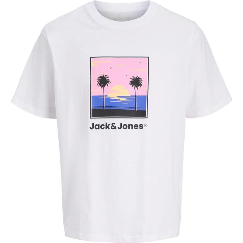 JACK & JONES Tričko JJPERRY modrá / svetloružová / čierna / biela 67449265
