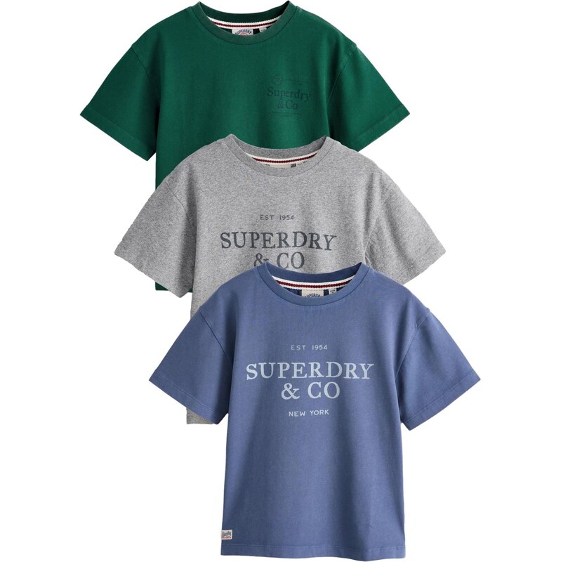 Superdry & Co Tričko modrá / sivá / tmavozelená 67449427