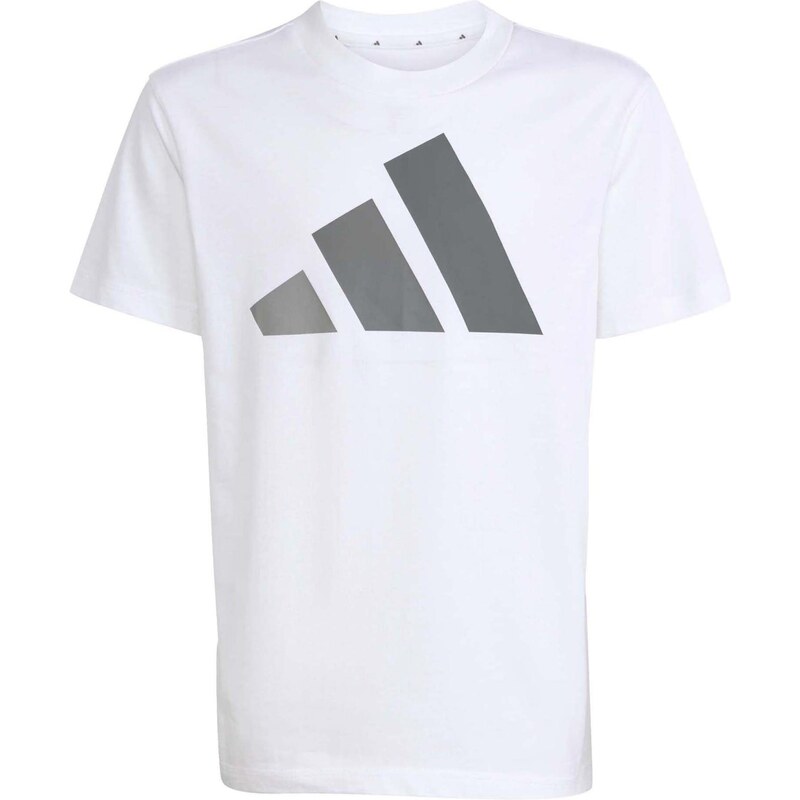 ADIDAS SPORTSWEAR Funkčné tričko Essentials sivá / biela 67449699
