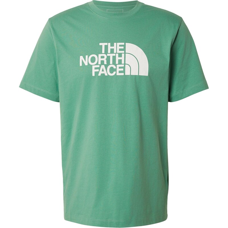 THE NORTH FACE Tričko EVOLUTION HALF DOME zelená / biela 67521285
