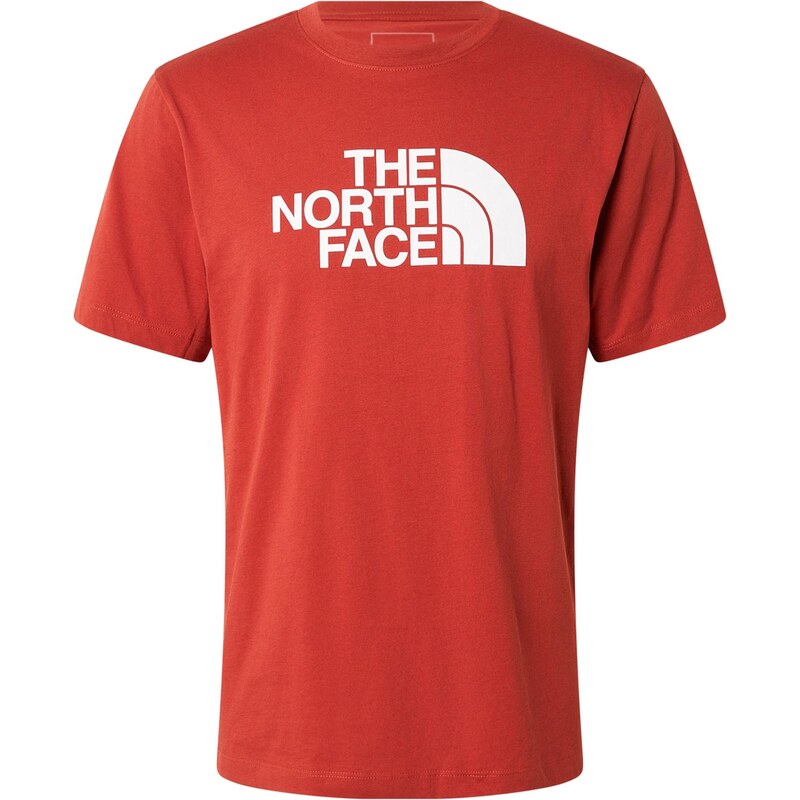 THE NORTH FACE Tričko EVOLUTION HALF DOME hrdzavohnedá / biela 67521327