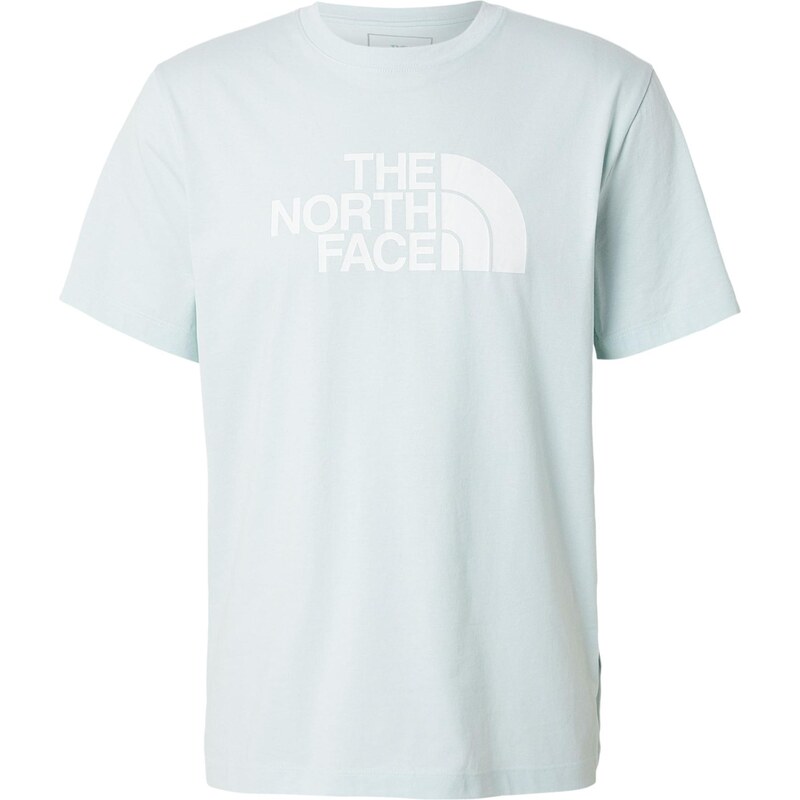 THE NORTH FACE Tričko EVOLUTION HALF DOME opálová / biela 67521333