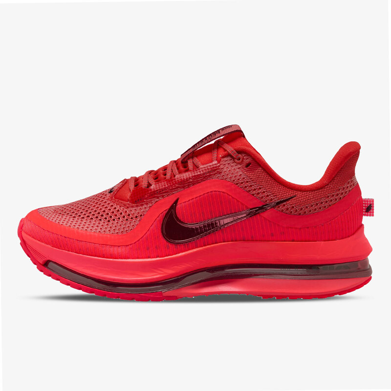 Nike PEGASUS PREMIUM EUR 42 67550604