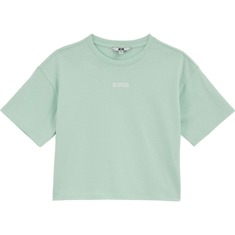 WE Fashion Tričko svetlosivá / mätová 67562658