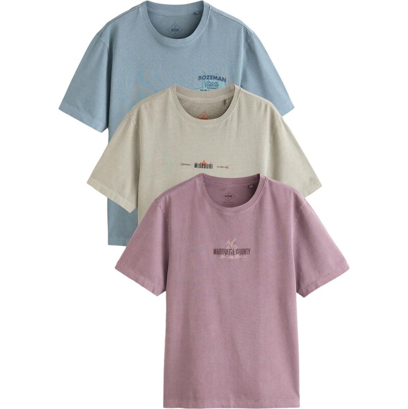 Next Tričko modrosivá / pastelovo zelená / staroružová 67563201