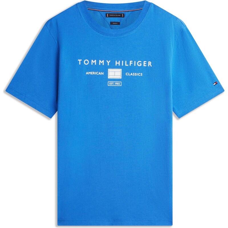 TOMMY HILFIGER Tričko modrá / biela 67572833