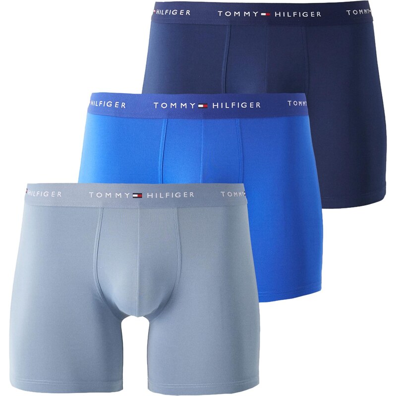 Tommy Hilfiger Underwear Boxerky modrá / námornícka modrá / modrosivá 67573147