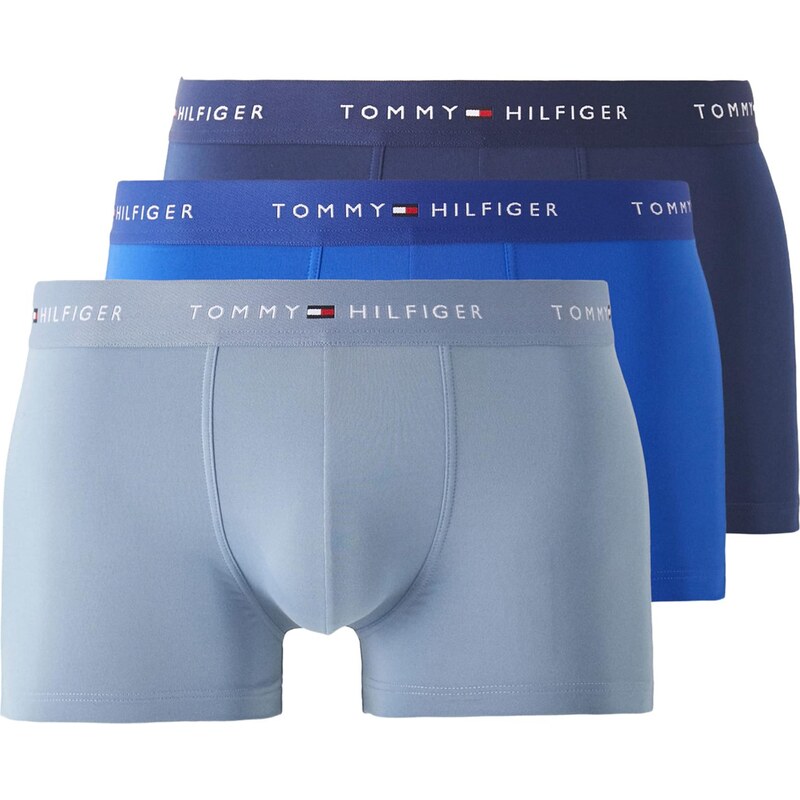 Tommy Hilfiger Underwear Boxerky modrá / námornícka modrá / dymovo 67573198