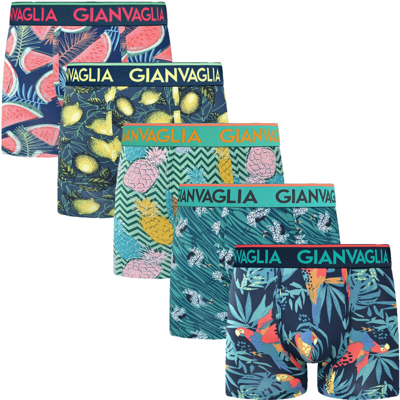 5PACK pánske boxerky Gianvaglia viacfarebné (GVG-5072) 67601727