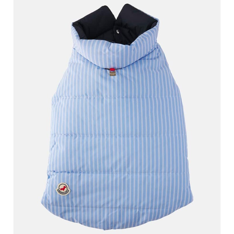 Moncler Moncler Poldo Dog Couture striped dog coat 67953551