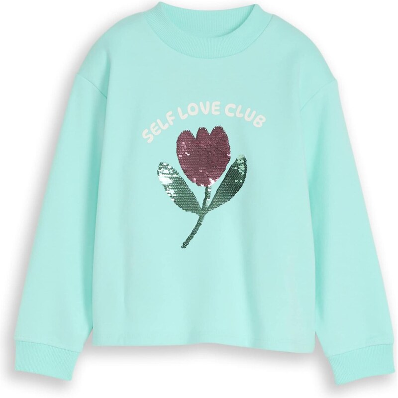 TOM TAILOR Mikina mätová / červená 67632319