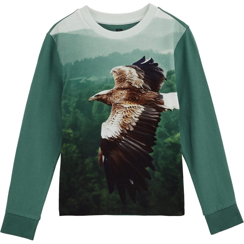 WE Fashion Tričko hnedá / mätová / jedľová / šedobiela 67632486