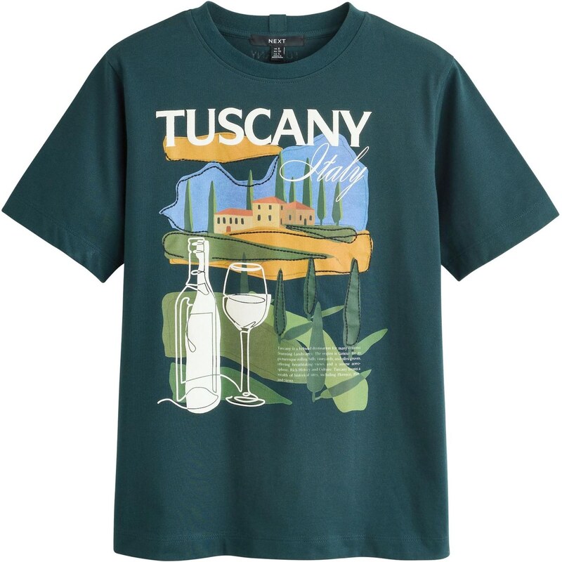 Next Tričko zelená / zmiešané farby 67653408