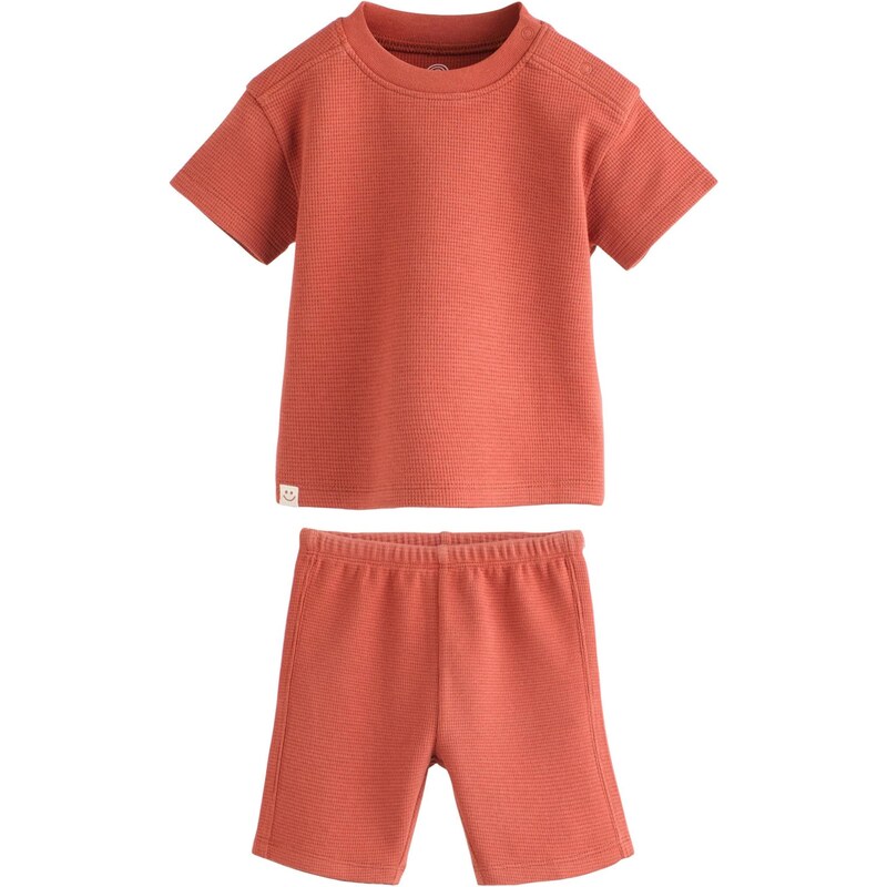 Next Set koňaková 67668082