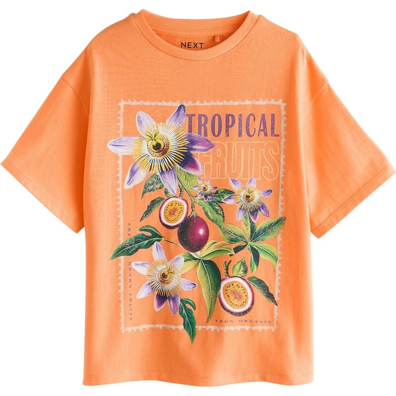 Next Tričko zelená / cyklaménová / tmavofialová / oranžová 67668393