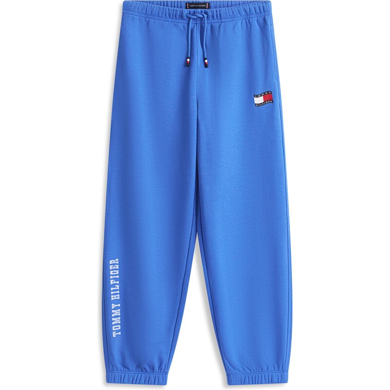 E-shop TOMMY HILFIGER Nohavice kráľovská modrá / červená / čierna /
