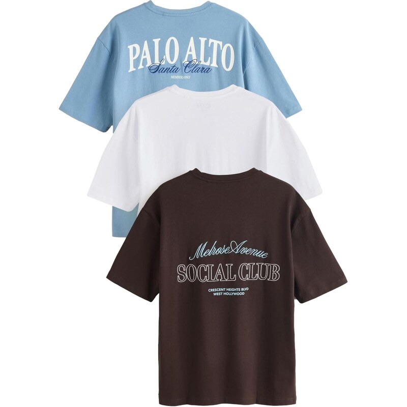 Next Tričko opálová / tmavohnedá / biela 67678072