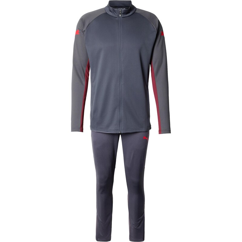 PUMA Tréningový komplet IndividualLIGA námornícka modrá / grafitová / 67678722