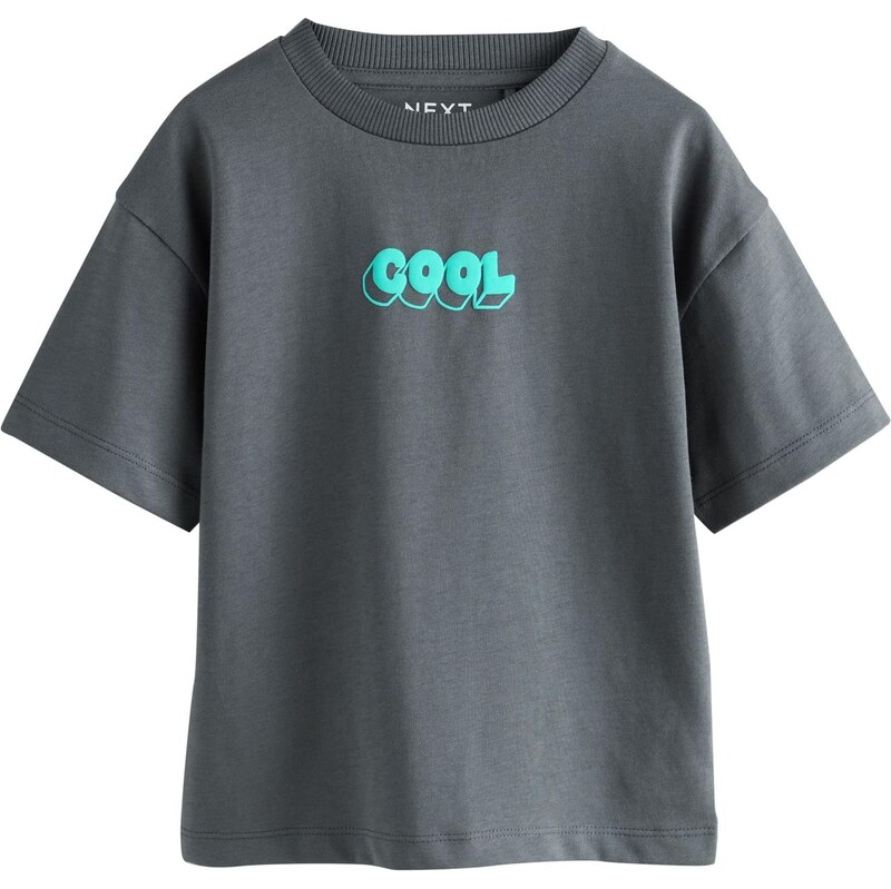 Next Tričko vodová / tmavosivá 67695136