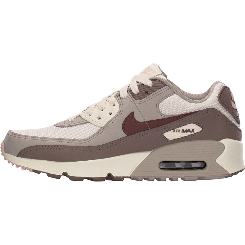 Nike Sportswear Tenisky Air Max 90 hnedá / gaštanová / tmavošedá / 67732628
