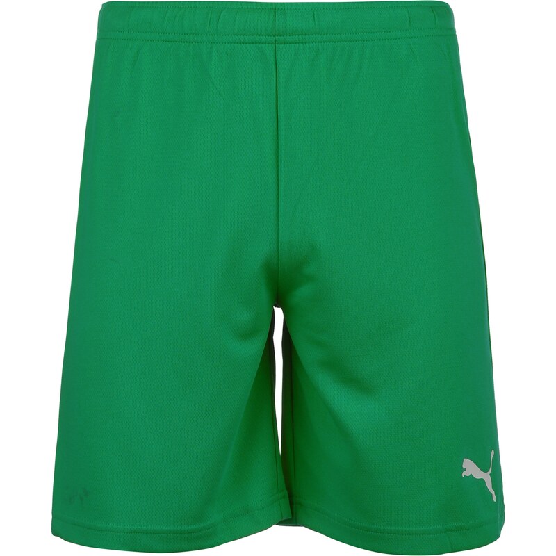 PUMA Športové nohavice TeamRise zelená / biela 67750345