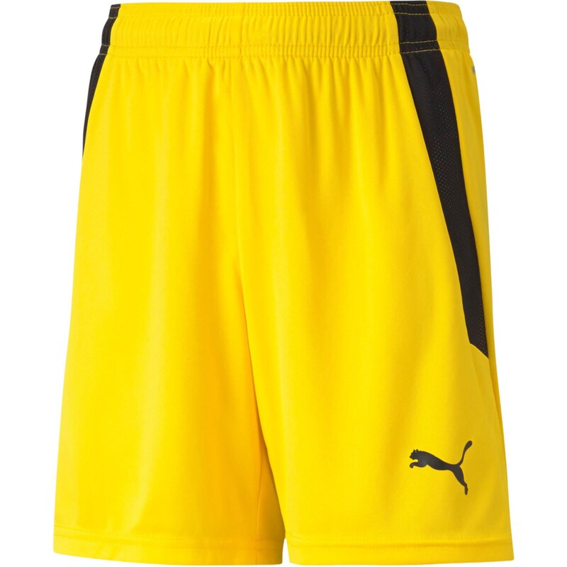 PUMA Športové nohavice TeamLiga žltá / čierna 67750349
