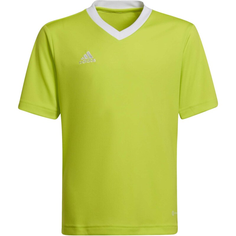 ADIDAS PERFORMANCE Funkčné tričko Entrada 22 svetlozelená / biela 67750374