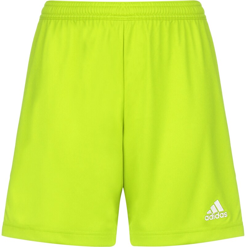 ADIDAS PERFORMANCE Športové nohavice Entrada 22 neónovo zelená / biela 67728692