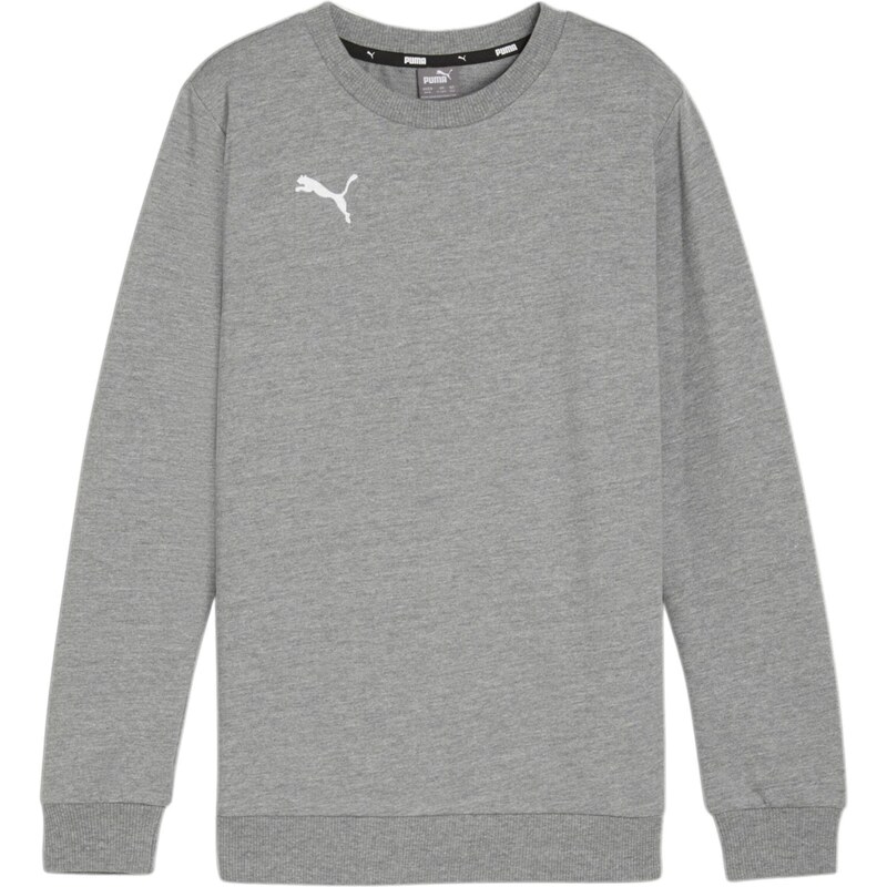 PUMA Športová mikina GOAL sivá / biela 67729169