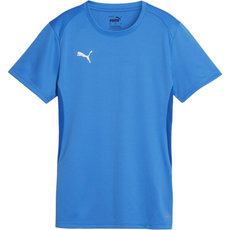 PUMA Funkčné tričko Team Goal modrá / biela 67750876