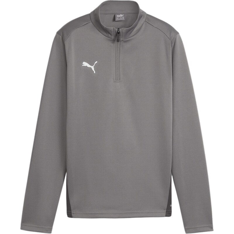 PUMA Funkčné tričko Team Goal sivá 67729792