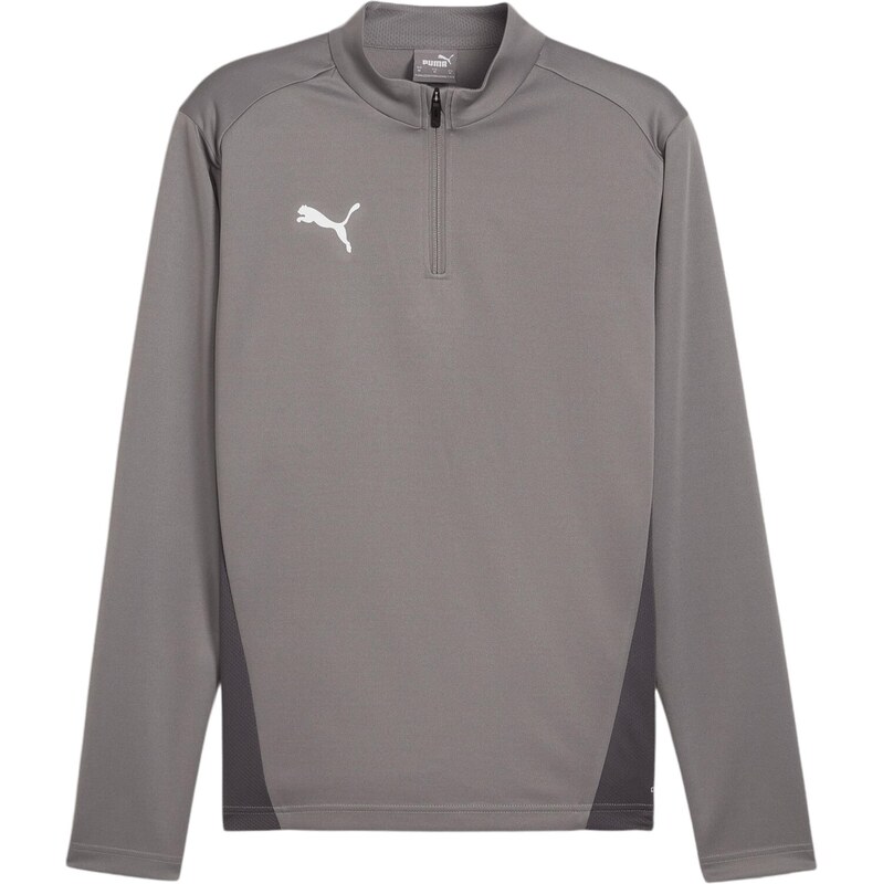 PUMA Funkčné tričko TeamGoal sivá / grafitová / biela 67729819