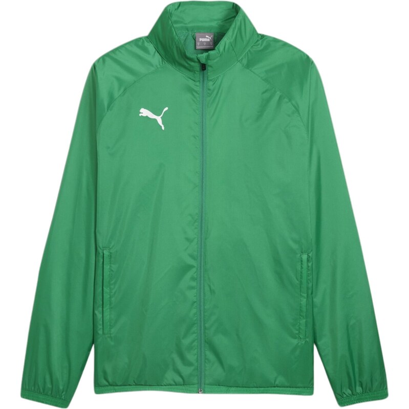 PUMA Športová bunda TeamGoal zelená / biela 67729850