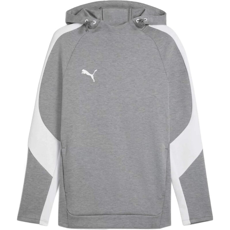 PUMA Športová mikina TeamEVOSTRIPE sivá / svetlosivá 67751857