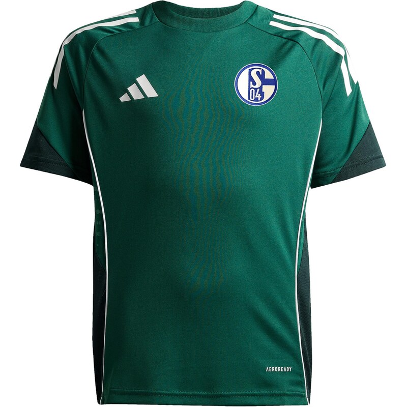 ADIDAS PERFORMANCE Funkčné tričko FC Schalke 04 modrá / zelená / biela 67751926