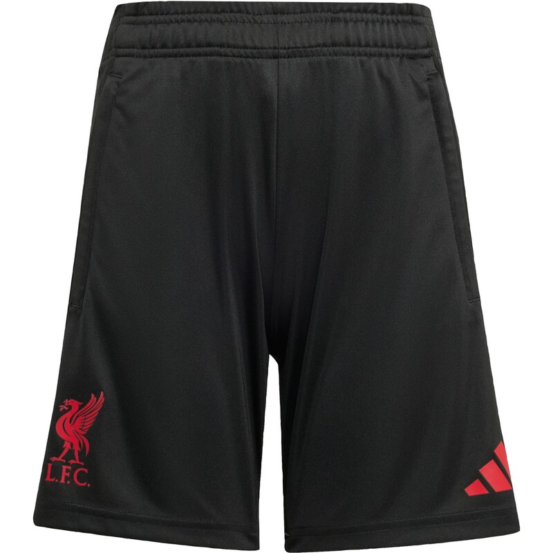 ADIDAS PERFORMANCE Športové nohavice Liverpool FC Tiro 25 Competition 67752069