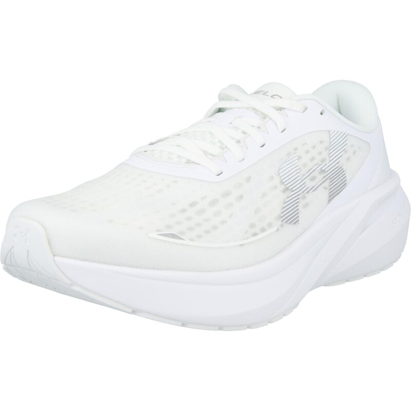 UNDER ARMOUR Bežecká obuv Velociti Pace strieborná / biela 67753272