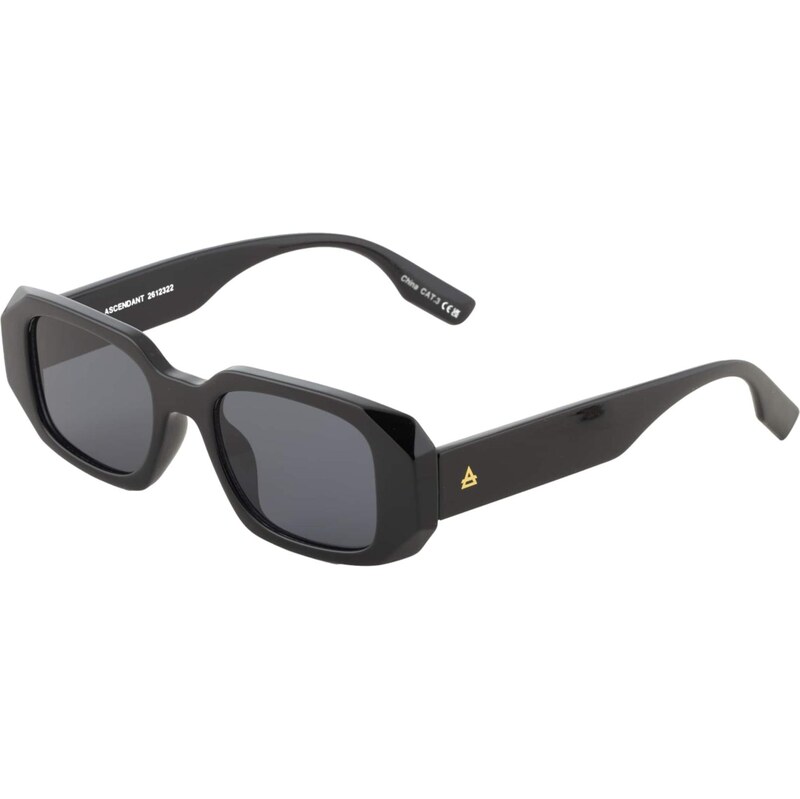 Aire Slnečné okuliare ASCENDANT čierna 67753369
