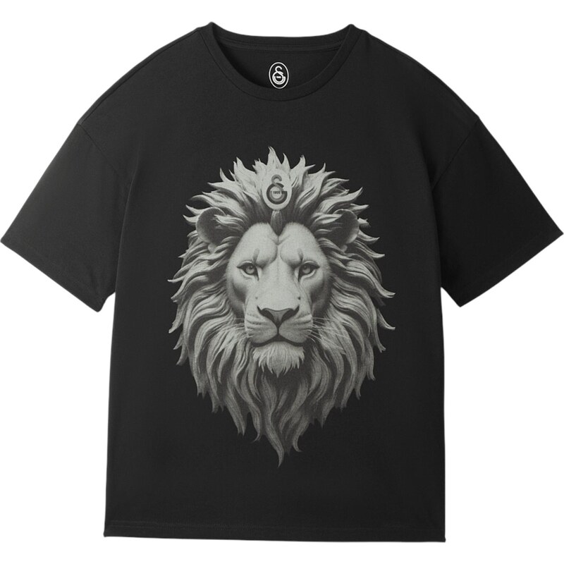 Galatasaray Tričko Istanbul sivá / tmavosivá / čierna 67752670