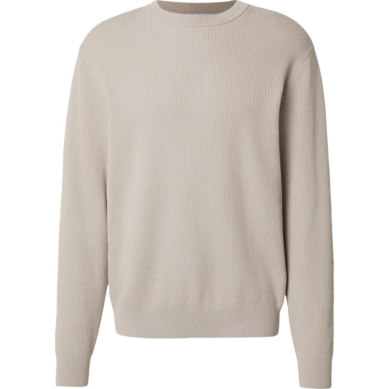 DAN FOX APPAREL Sveter Luis svetlosivá 67774916