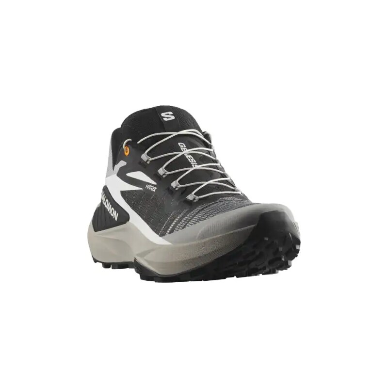 E-shop Salomon Genesis pánska bežecká obuv Black/Alloy/Turmeric vel. 42