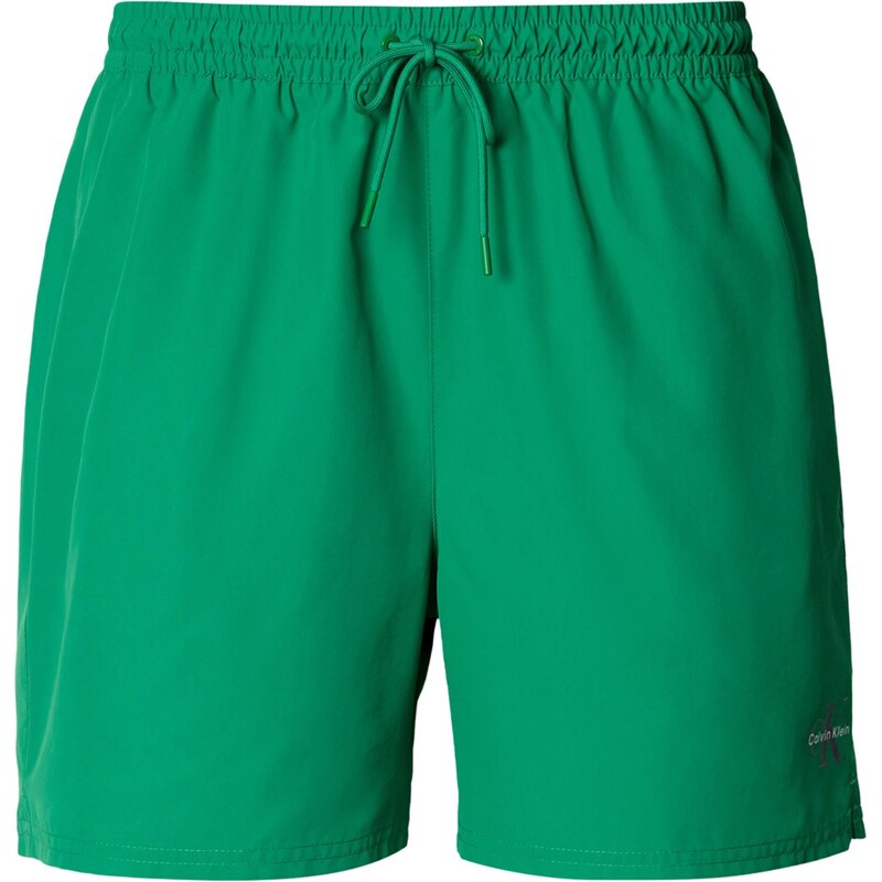 Calvin Klein Swimwear Plavecké šortky námornícka modrá / zelená / 67790390