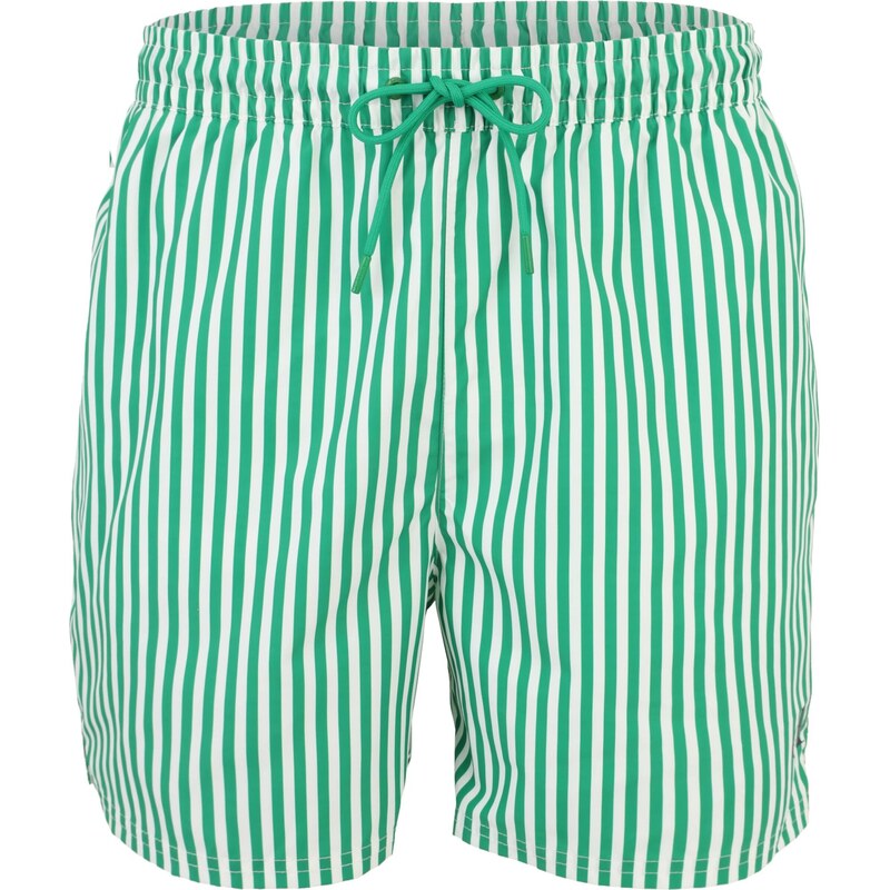 Calvin Klein Swimwear Plavecké šortky jedľová / biela 67791961