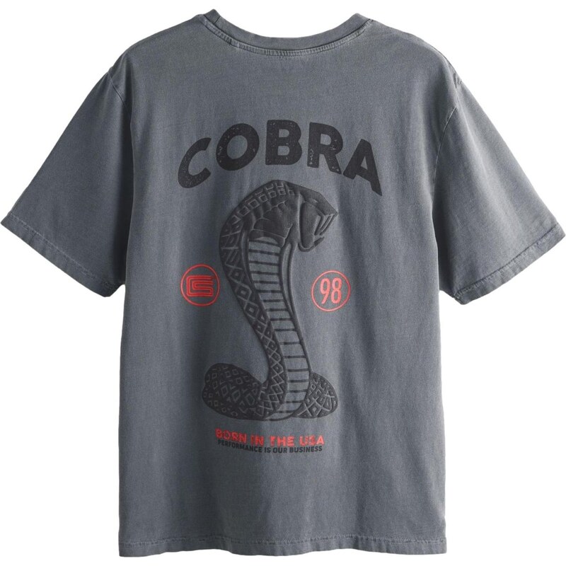 Next Tričko sivá / červená 67792324