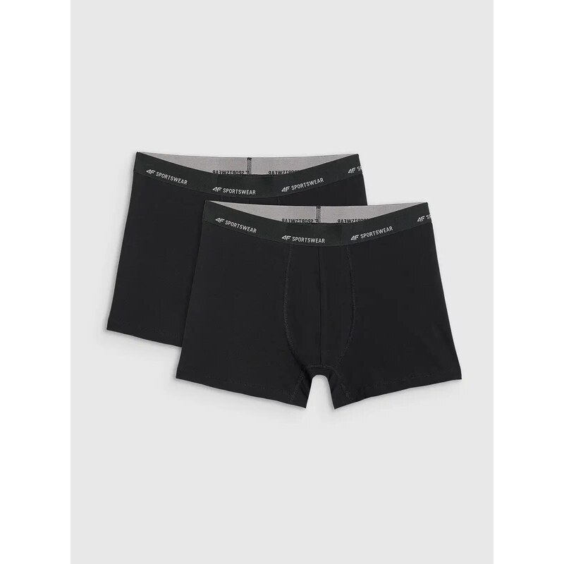 Pánske boxerky 4F Falcon (2 kusy) 67834985