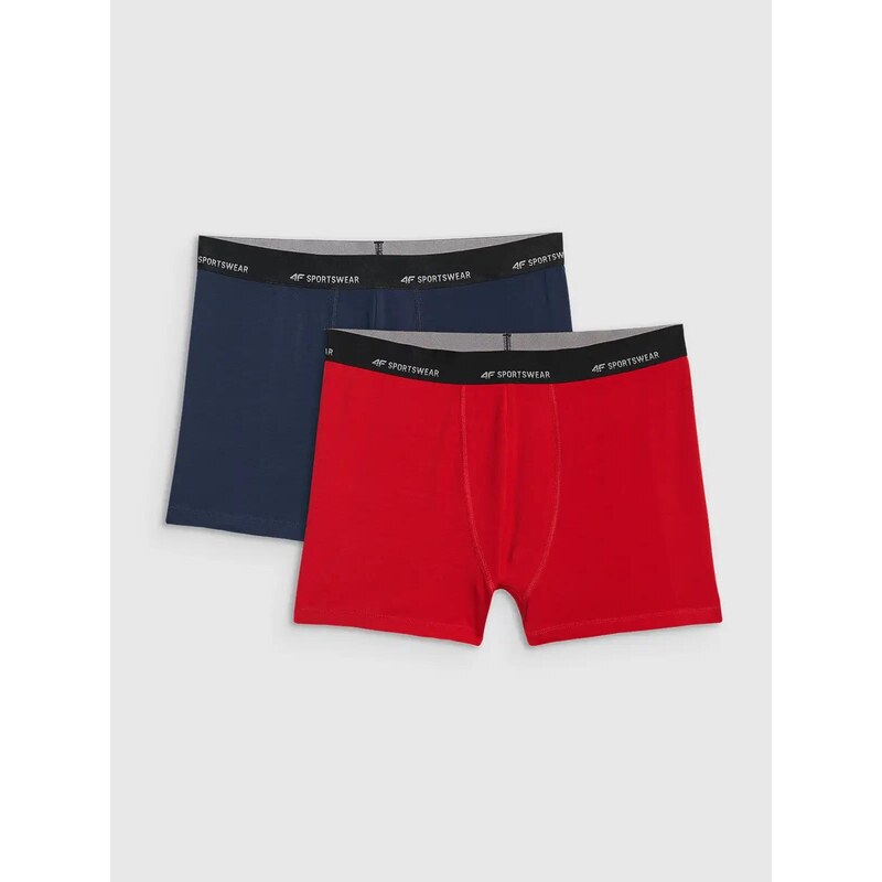 Pánske boxerky 4F Falcon (2ks) 67835039