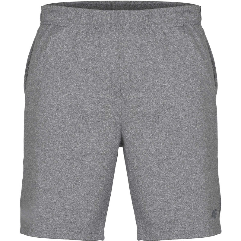 Pánske kúpacie kraťasy 4F 67840337